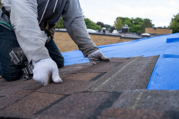 Best Roof Leak Repair  in Spring Hill, FL