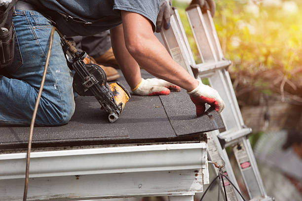 Best Gutter Installation and Roofing  in Spring Hill, FL